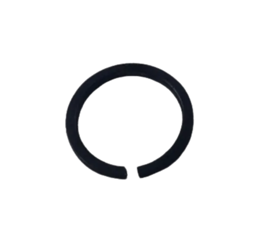 R098369|Retaining Ring - Throttle Valve